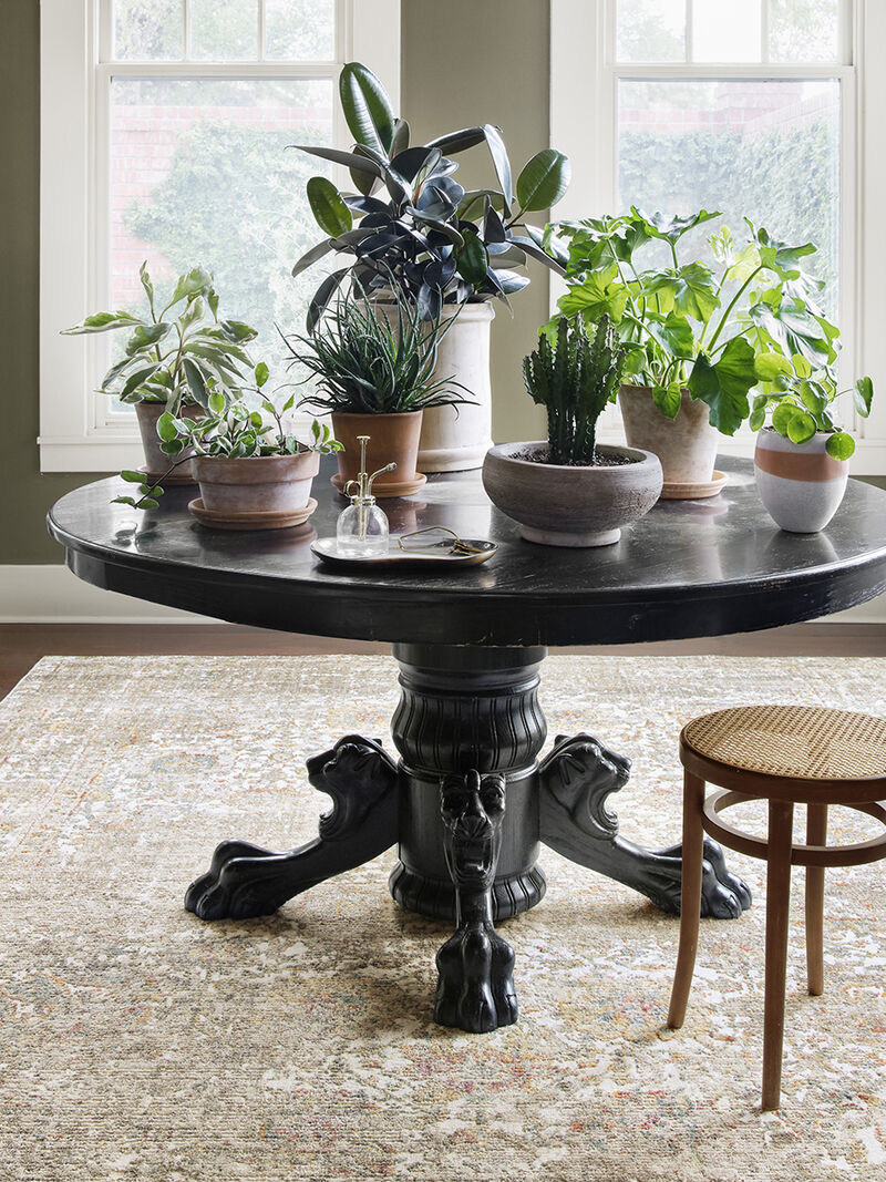 Linnea LIN05 Collection by Magnolia Home by Joanna Gaines