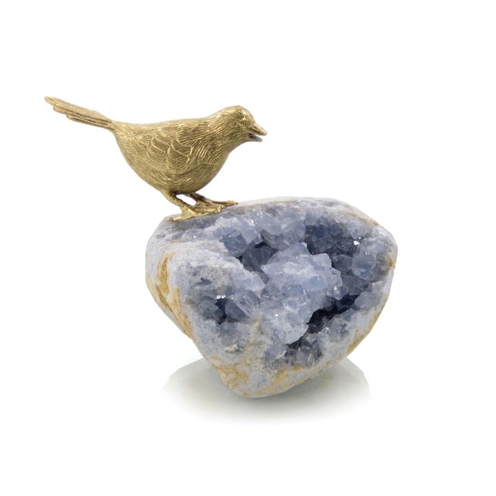 Bird On Celestite Rock I