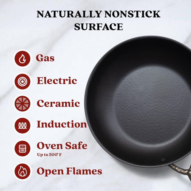 Alva Artist Carbon Steel Pan Pre-Seasoned with Natural Mineral Oil, Non Toxic Hammered Carbon Steel Nonstick Frying Pan Skillet for Searing Steak, Compatible with All Stovetops & Induction Safe
