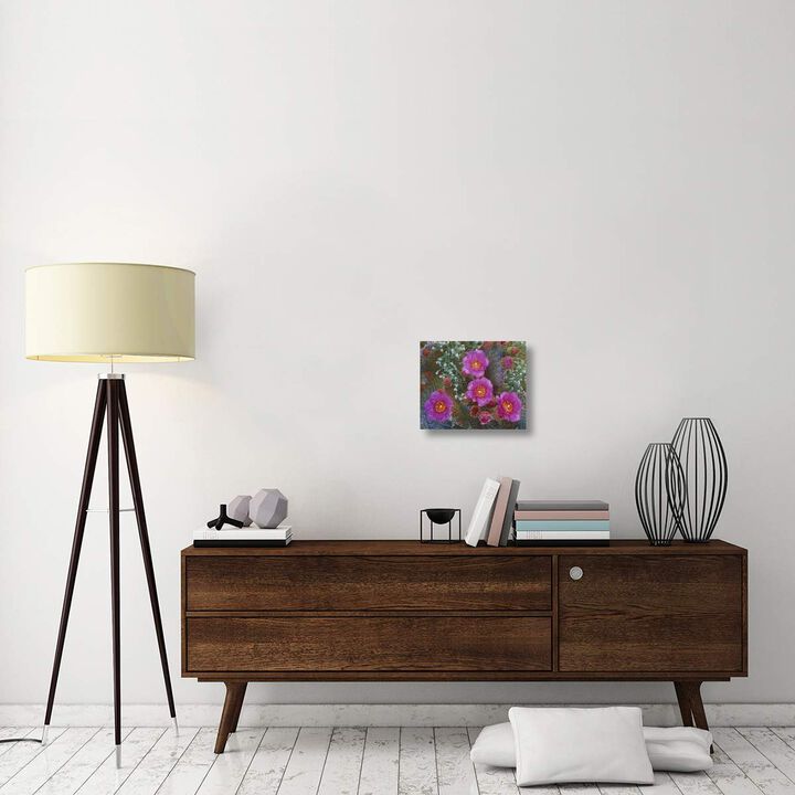 Beavertail Cactus flowering, Arizona-Canvas Art-16x13.28