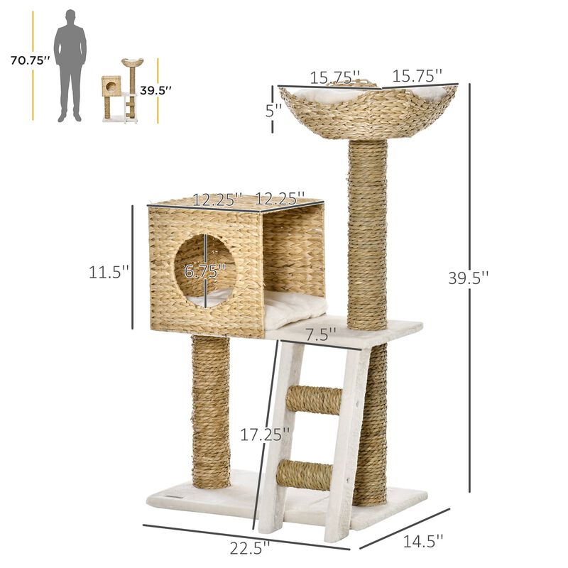 Natural Cat Playground: Modern Tree with Condo & Scratching Posts
