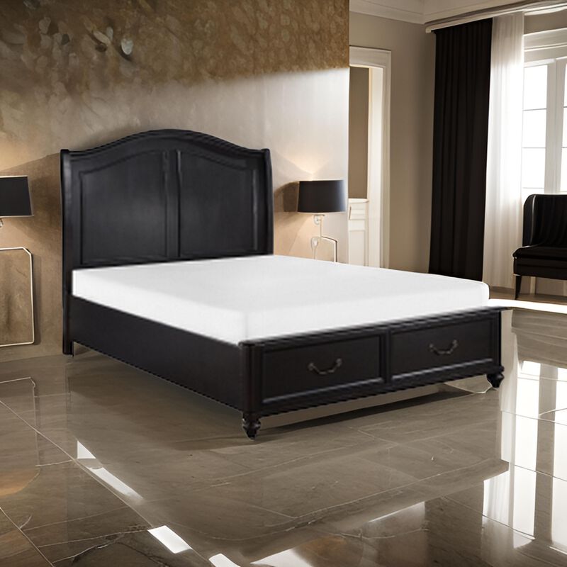 Vix Queen Size Platform Bed, Panel Arch Design, 2 Storage Drawers, Black - Benzara