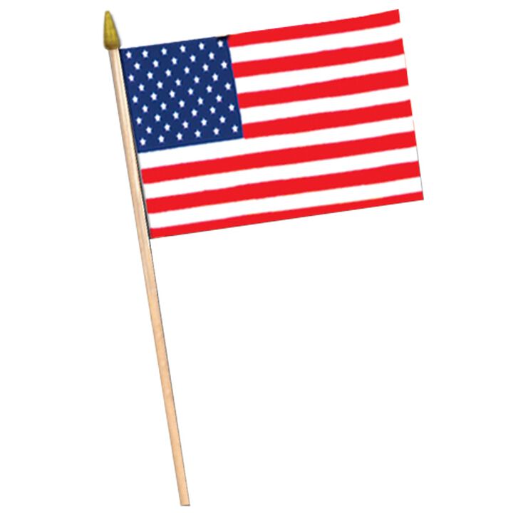 Club Pack of 12 Red and Blue Patriotic Themed American Flag Party Decorations 30"
