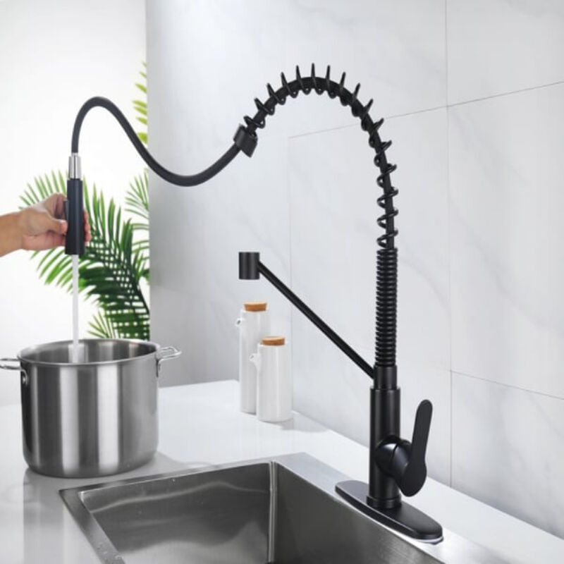 Single Handle Kitchen Sink Faucet with Pull Down Sprayer and Soap Dispenser