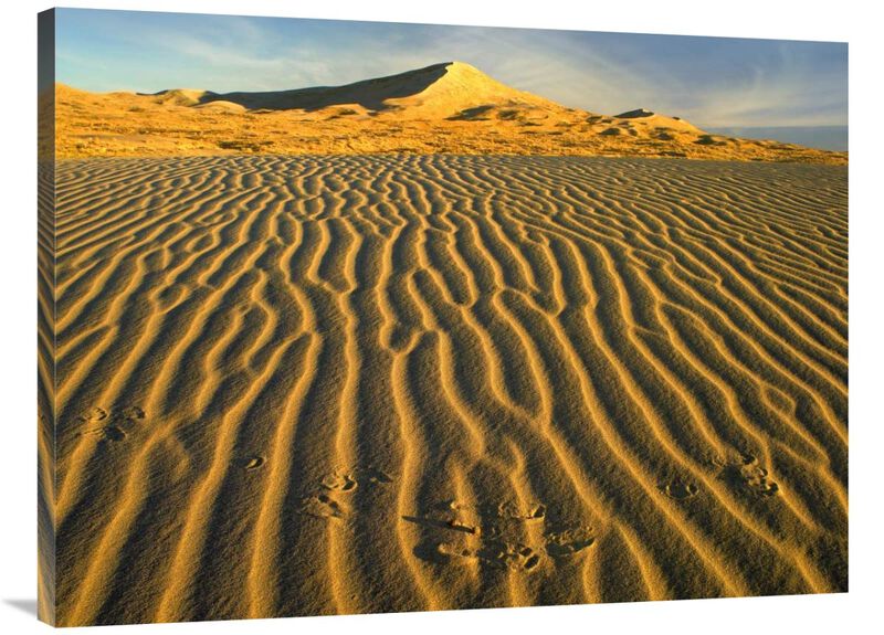 Wind ripples in Kelso Dunes, Mojave National Preserve, California-Canvas Art-40x30