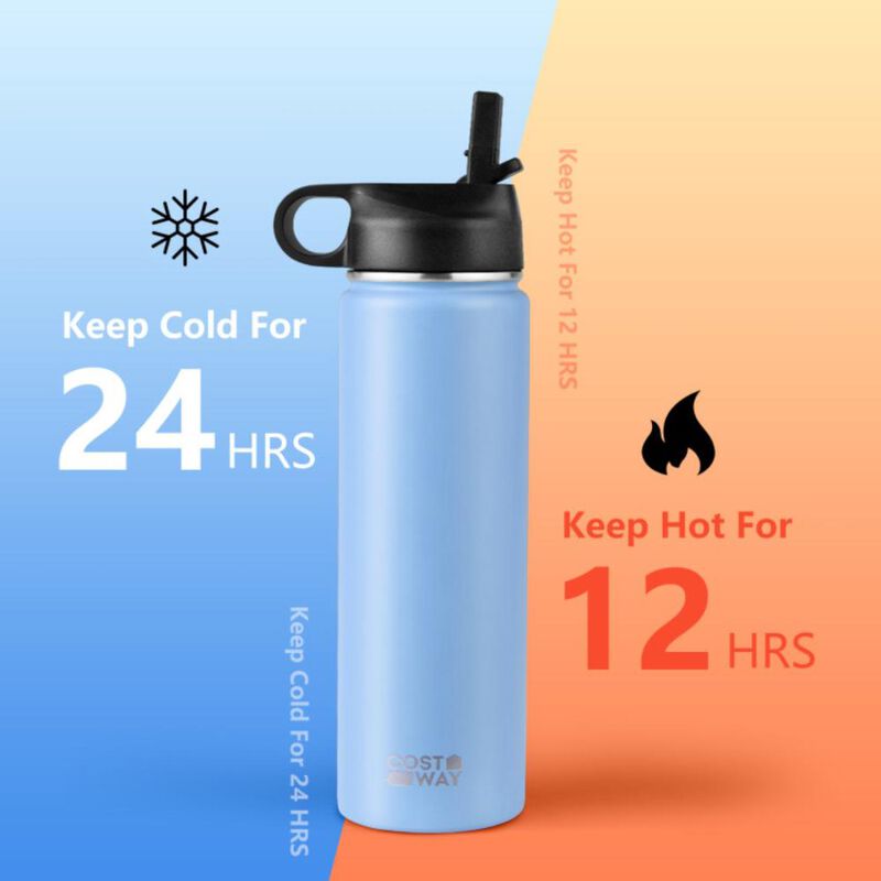 Costway22 Oz Double-walled Insulated Stainless Steel Water Bottle with 2 Lids and Straw