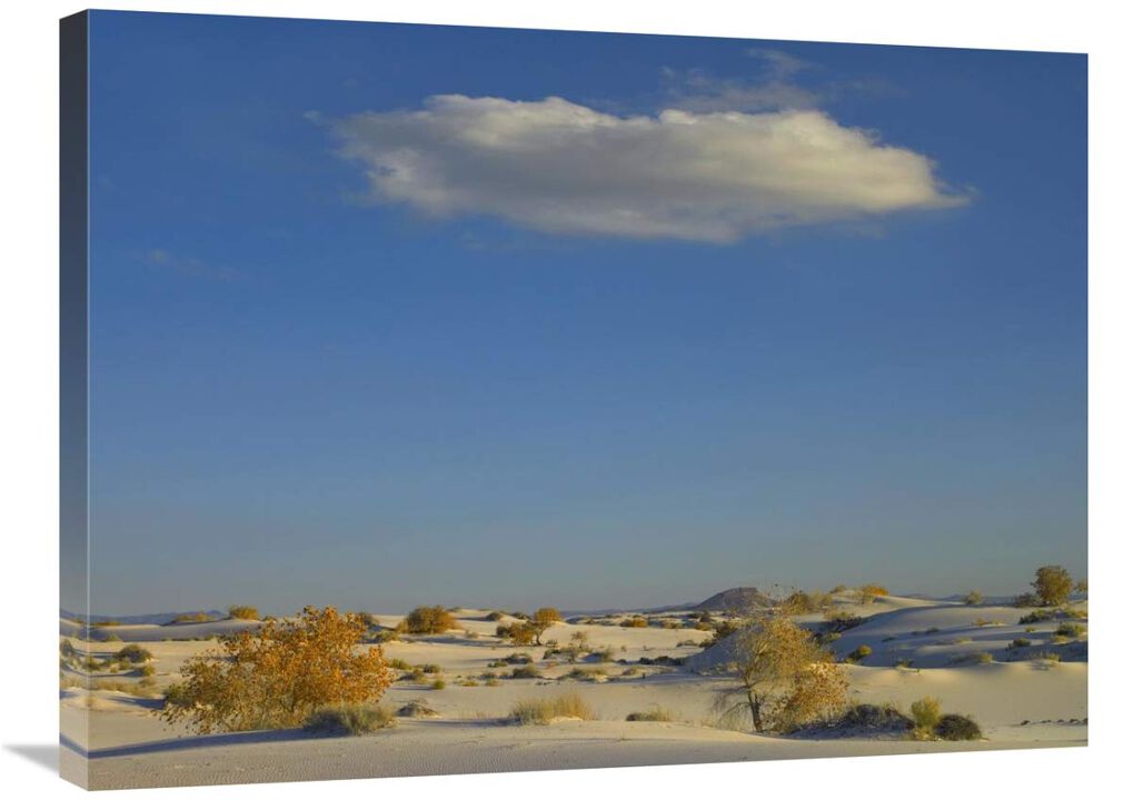 Cloud over White Sands National Monument, Chihuahuan Desert, New Mexico-Canvas Art-32x24