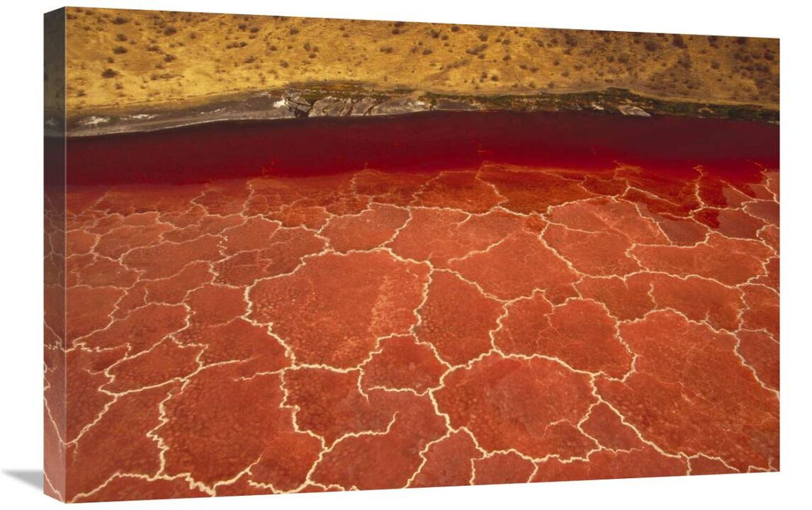 Soda formations on the surface of Lake Natron, Tanzania, east Africa-Canvas Art-30x20