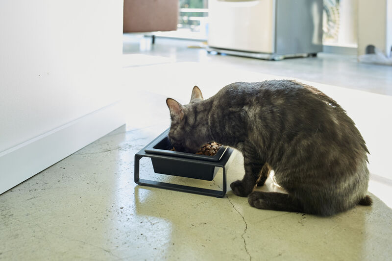 Pet Food Bowl - Two Styles