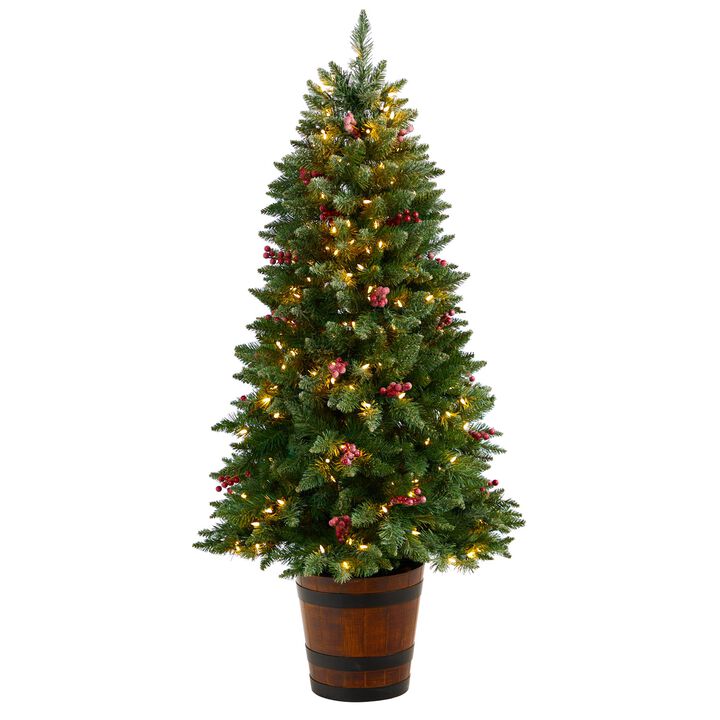 Hivvago 5 Feet Frosted Colorado Aspen Pre-Lit Artificial Porch Christmas Tree with 200 LED lights, 426 Bendable Branches and Berries in Decorative Planter