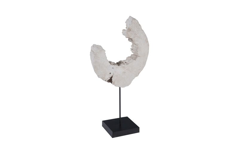 Wood C Sculpture on Stand