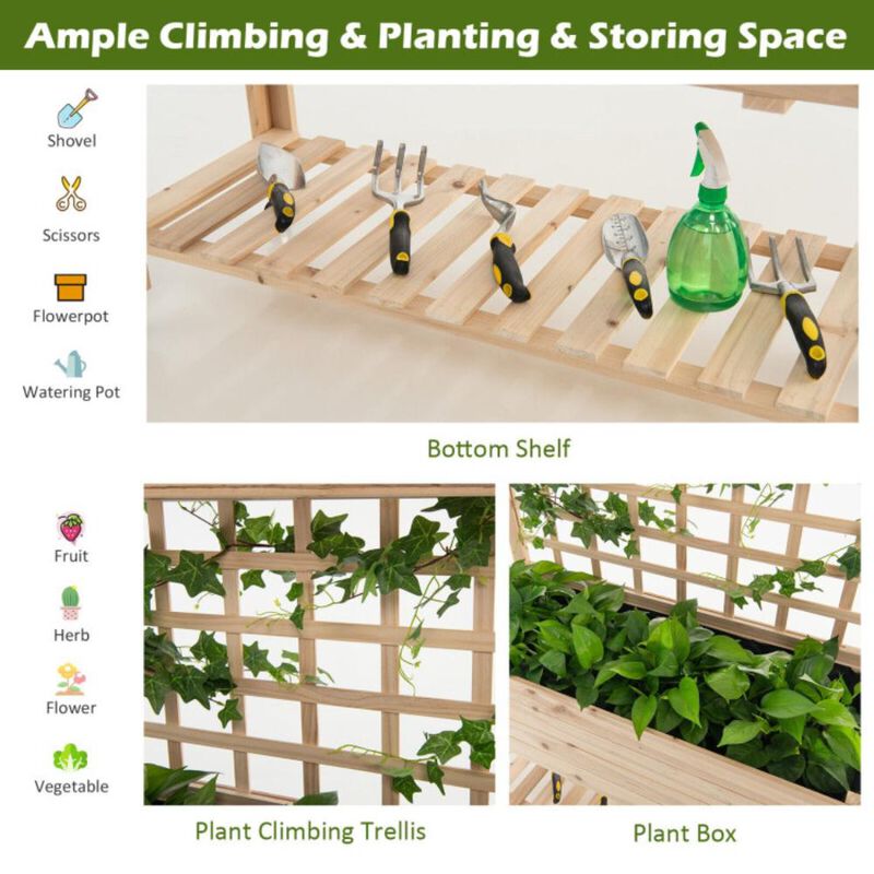 Hivvago Raised Garden Bed Elevated Wooden Planter Box with Trellis