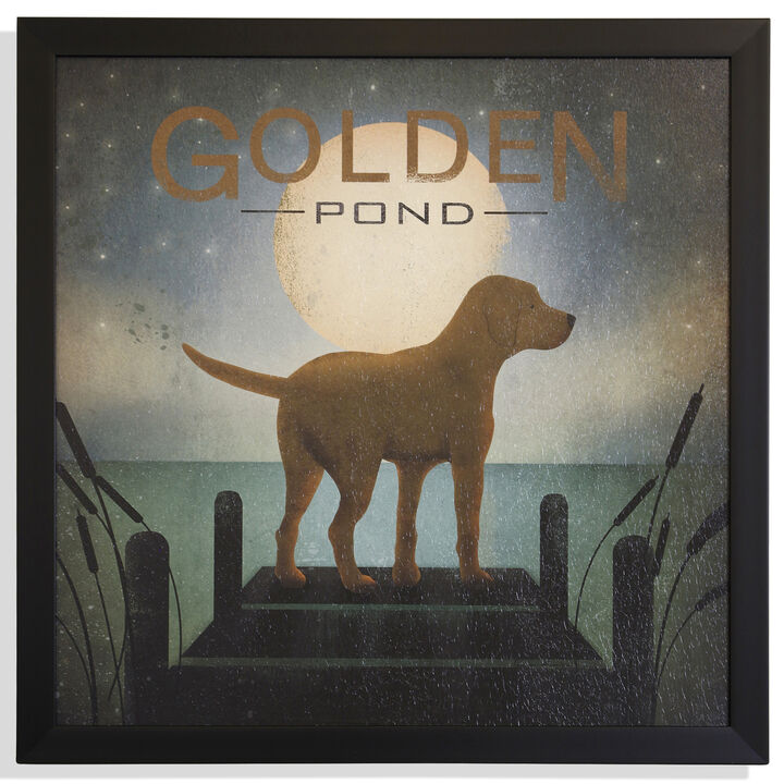 Moon Rise Yellow Dog