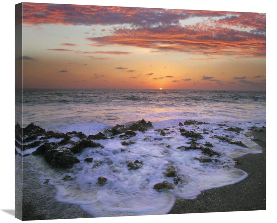 Coast at sunset, Blowing Rocks Beach, Jupiter Island, Florida-Canvas Art-30x25.8