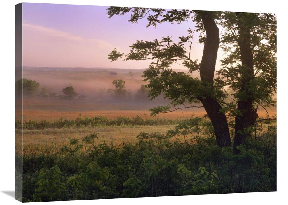 Tallgrass Prairie National Preserve, Kansas-Canvas Art-32x24