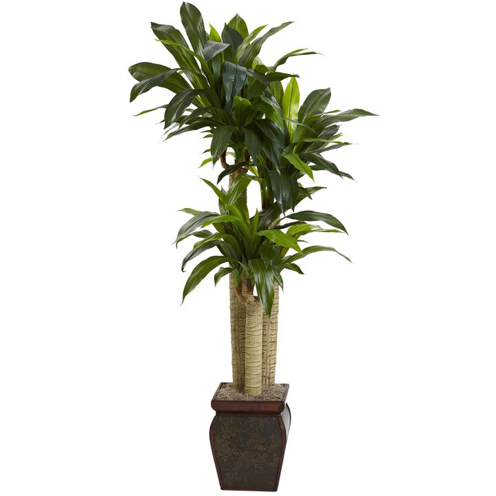 Hivvago 4.5" Cornstalk Draceana w/Vase (Real Touch)