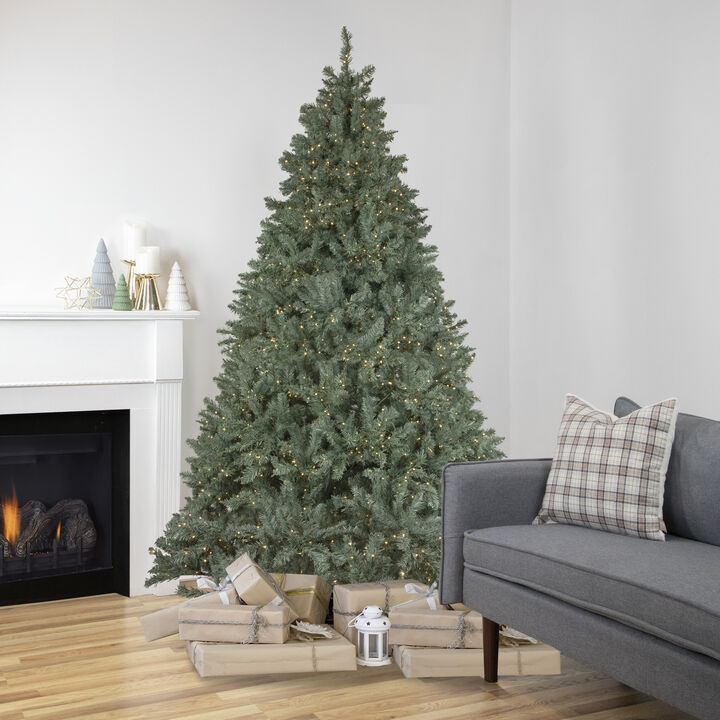 7.5' Pre-Lit Full Newport Spruce Artificial Christmas Tree  LED Lights