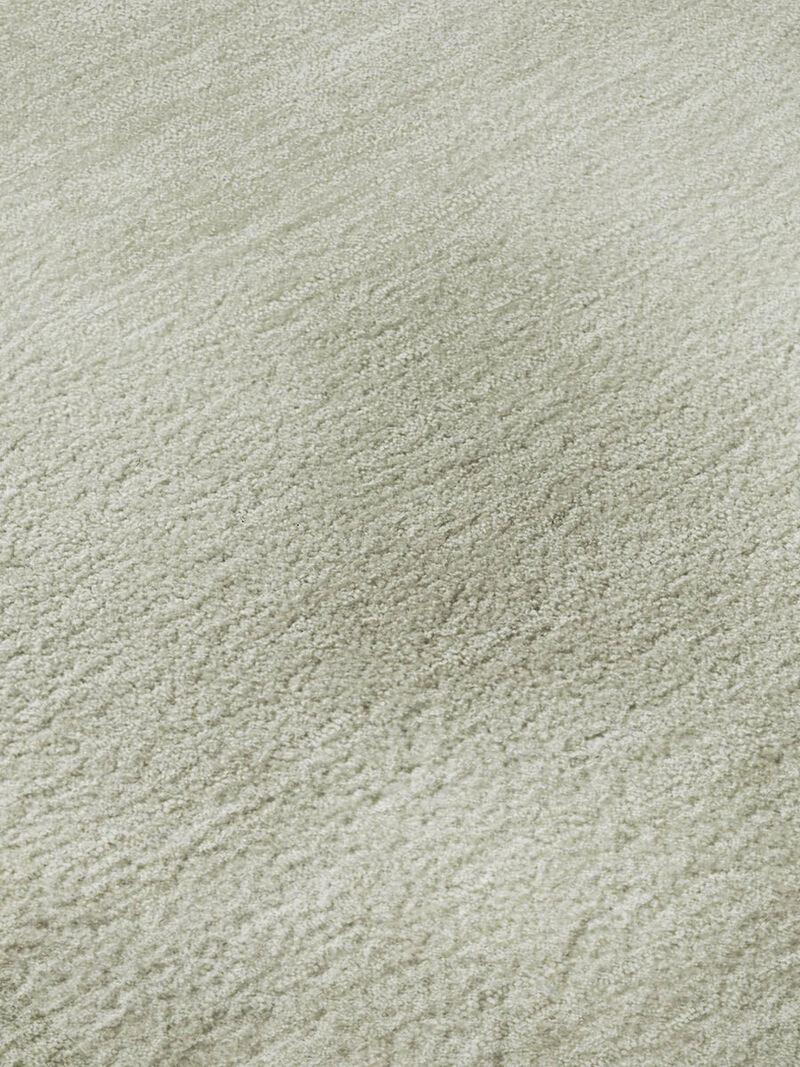 Pacifica PA5 Aloe 10' x 14' Rug