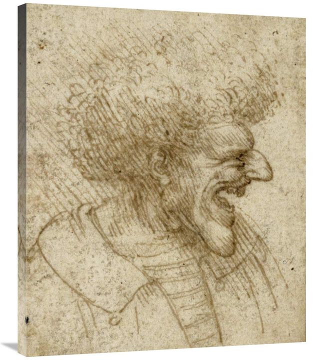 Caricature of a Man with Bushy Hair-Canvas Art-29.88x36