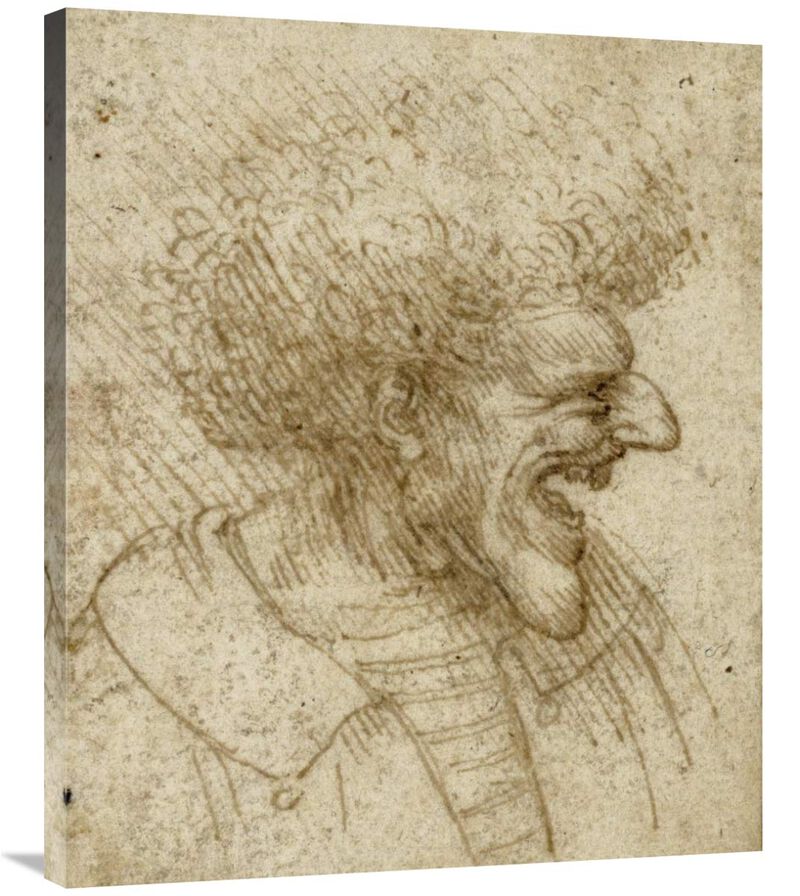 Caricature of a Man with Bushy Hair-Canvas Art-29.88x36