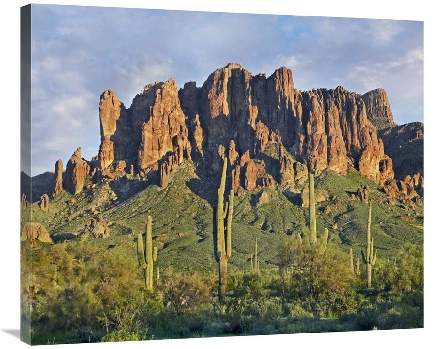 Saguaro cacti and Superstition Mountains, Lost Dutchman State Park, Arizona-Canvas Art-36x29.88