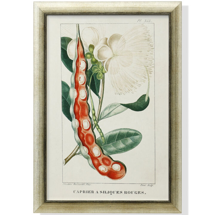 Framed Print Under Glass