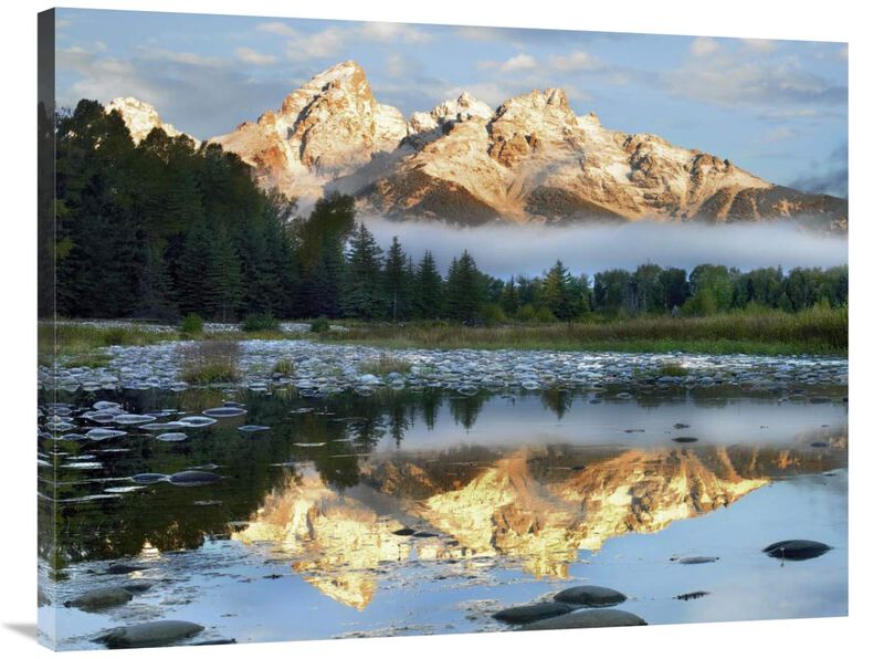 Pond reflecting Grand Tetons, Grand Teton National Park, Wyoming-Canvas Art-40x30