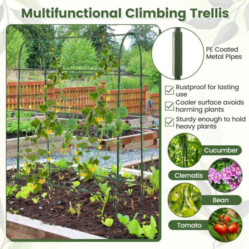 Hivvago Self-watering Raised Garden Bed Elevated Planter with Climbing Trellis