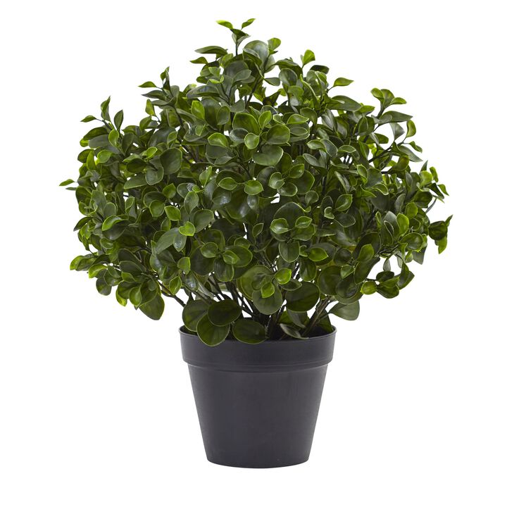Hivvago 23" Peperomia Plant UV Resistant (Indoor/Outdoor)