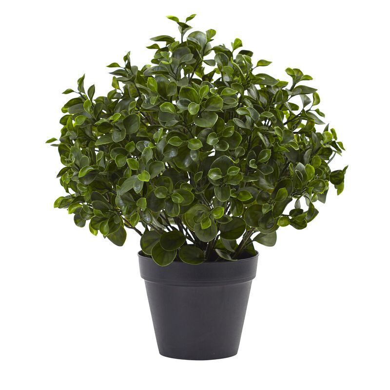 Hivvago 23" Peperomia Plant UV Resistant (Indoor/Outdoor)