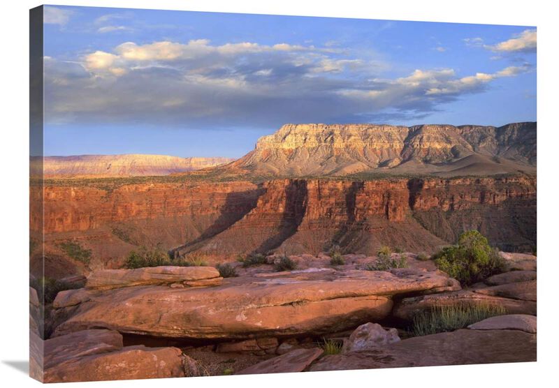 Aubrey Cliffs from Toroweap Overlook, Grand Canyon National Park, Arizona-Canvas Art-32x24