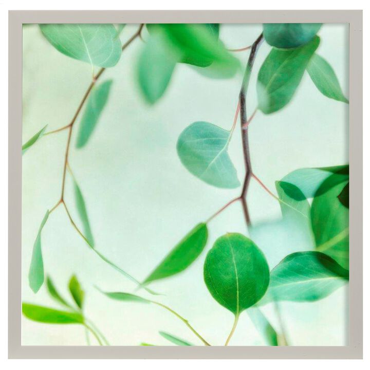 Summer Radiance II Framed Print