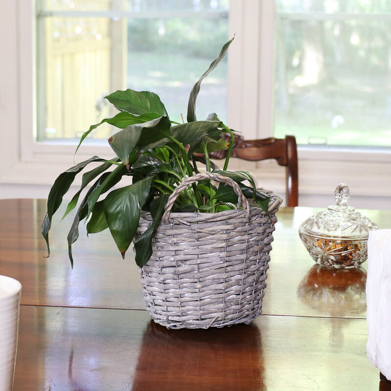 Sunnydaze 8 in Rattan Wicker Basket Planters with Handles/Lining - Set of 5