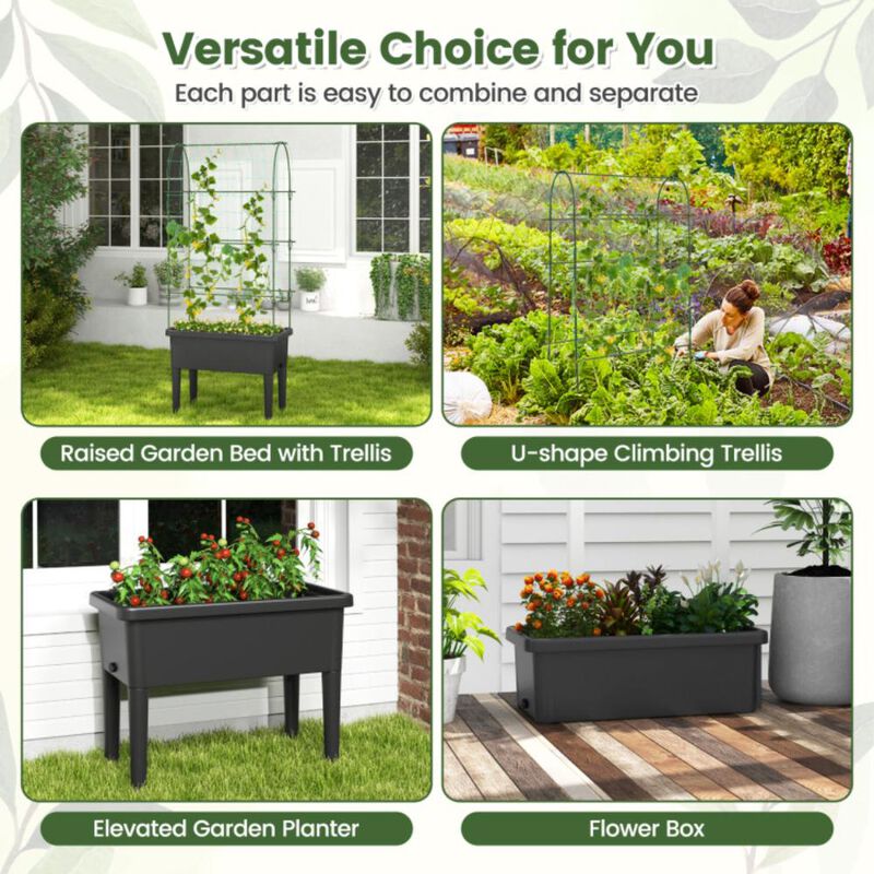Hivvago Self-watering Raised Garden Bed Elevated Planter with Climbing Trellis