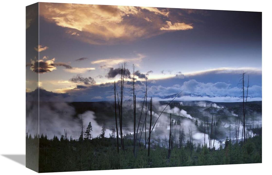 Norris Geyser basin with steam plumes from geysers, Yellowstone National Park, Wyoming-Canvas Art-16x12