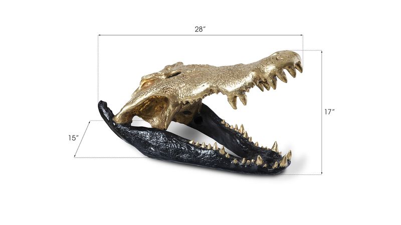 Crocodile Skull