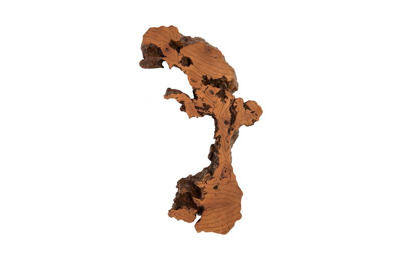 Burled Root Medium Wall Art