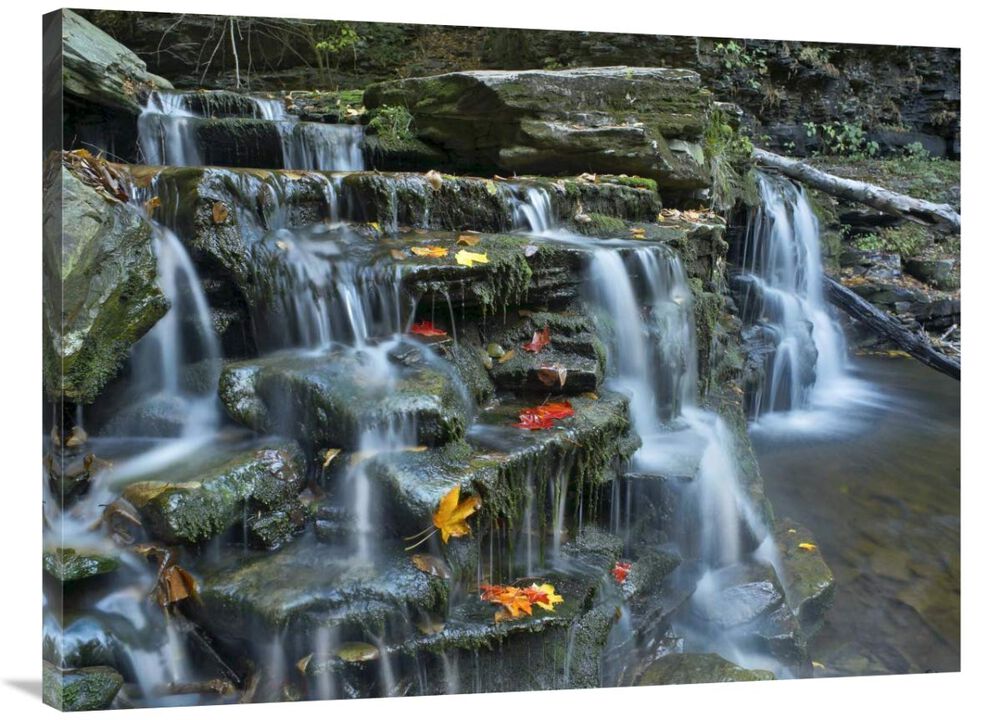 Kitchen Creek cascades, autumn, Ricketts Glen State Park, Pennsylvania-Canvas Art-40x30