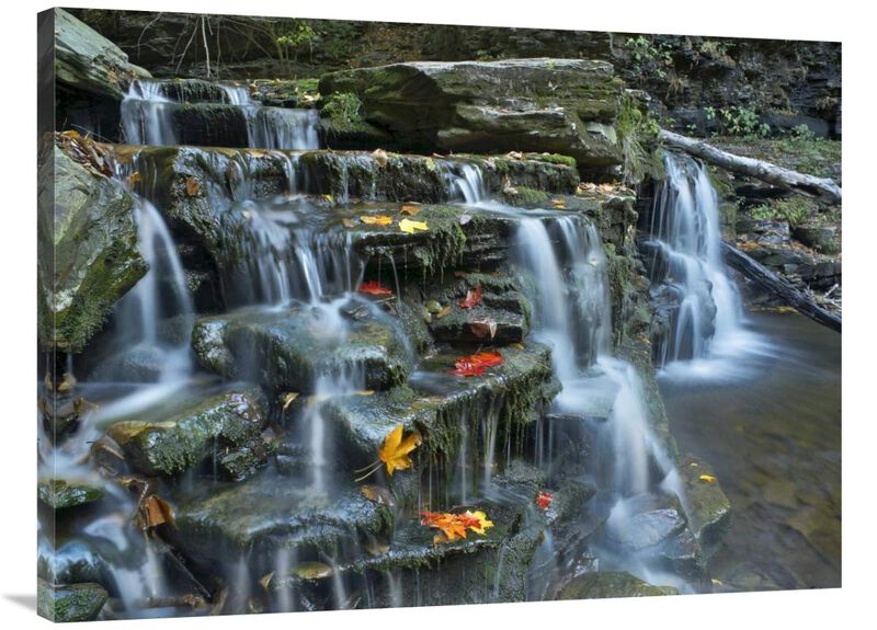 Kitchen Creek cascades, autumn, Ricketts Glen State Park, Pennsylvania-Canvas Art-40x30