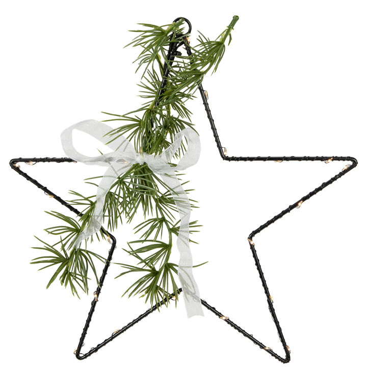 11" LED Lighted Star with Rosemary Sprig Christmas Decoration  Warm White Lights
