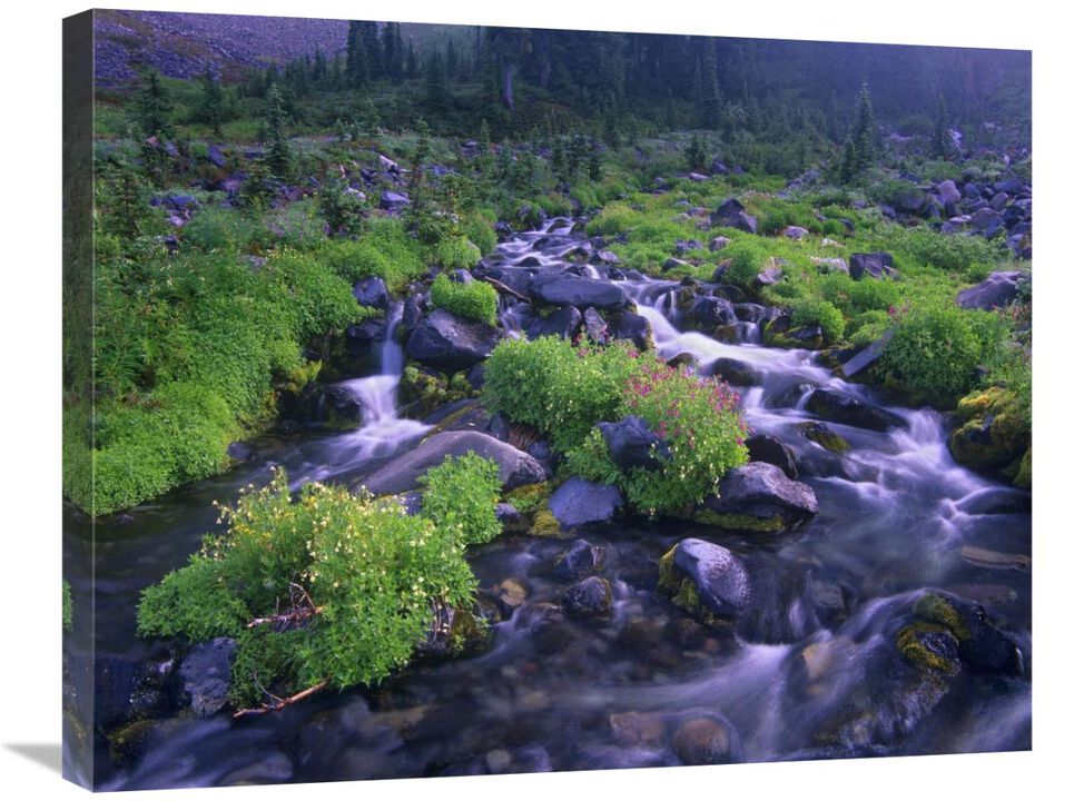 Paradise River with wildflowers, Mount Rainier National Park, Washington-Canvas Art-28x22