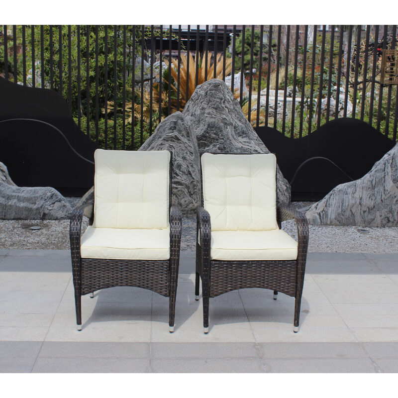 2-Piece Liberatore Dining Chairs With Cushions (Cushion)