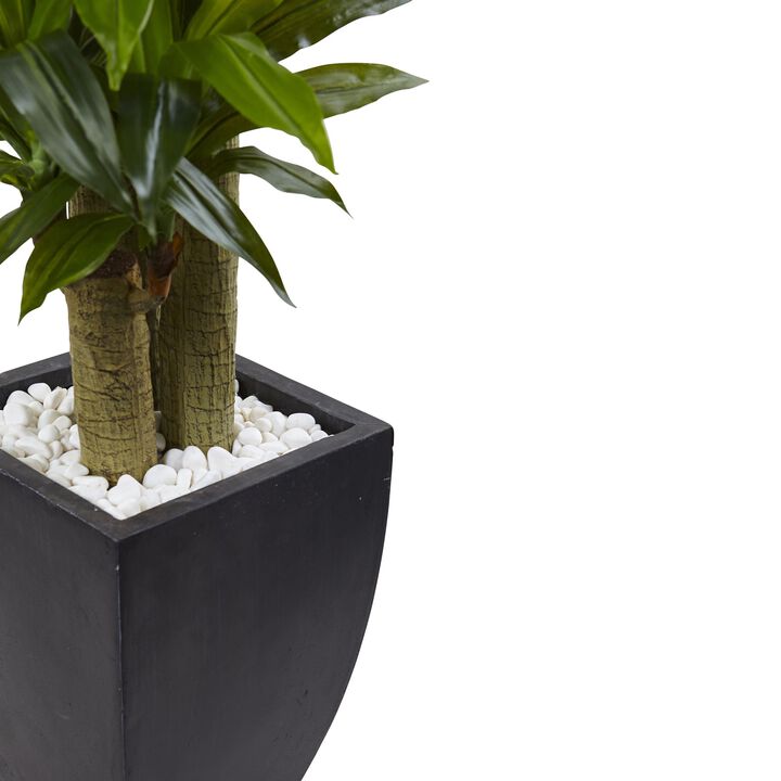 Hivvago 5.5" Corn Stalk Dracaena with Black Wash Planter