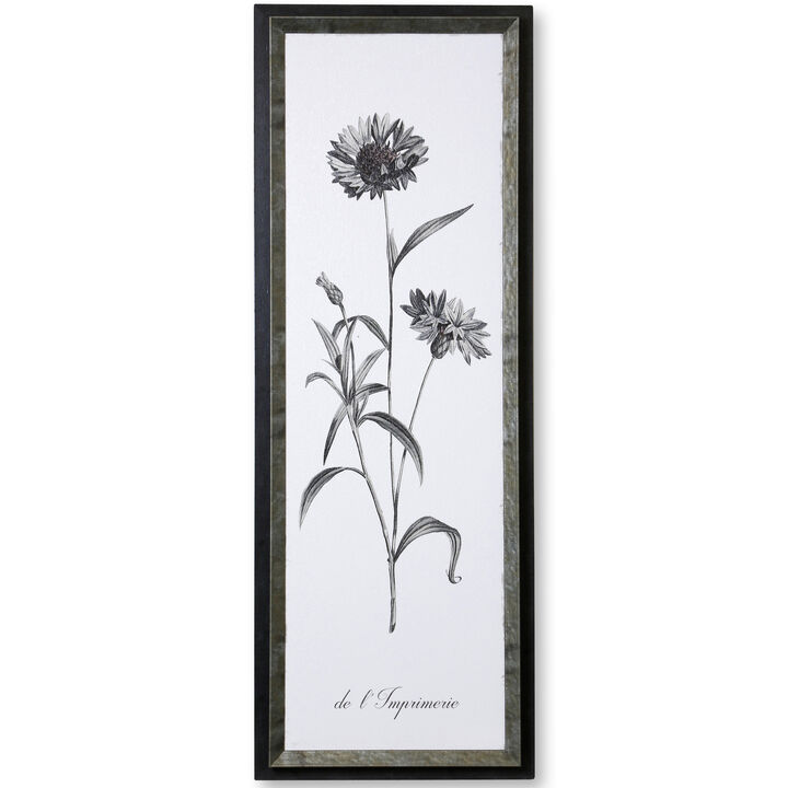 Slender Imperial Framed Print