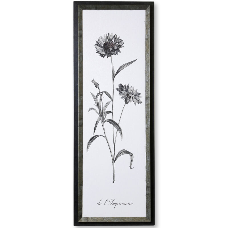 Slender Imperial Framed Print