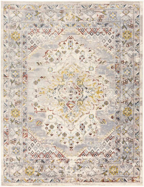 Ankara AKR-2300 7'10' x 10'3' Beige Rug