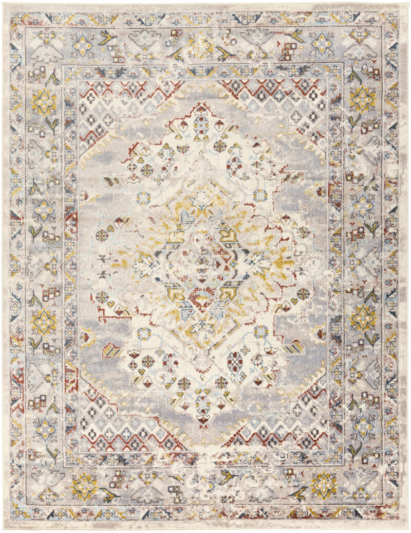 Ankara AKR-2300 7'10' x 10'3' Beige Rug