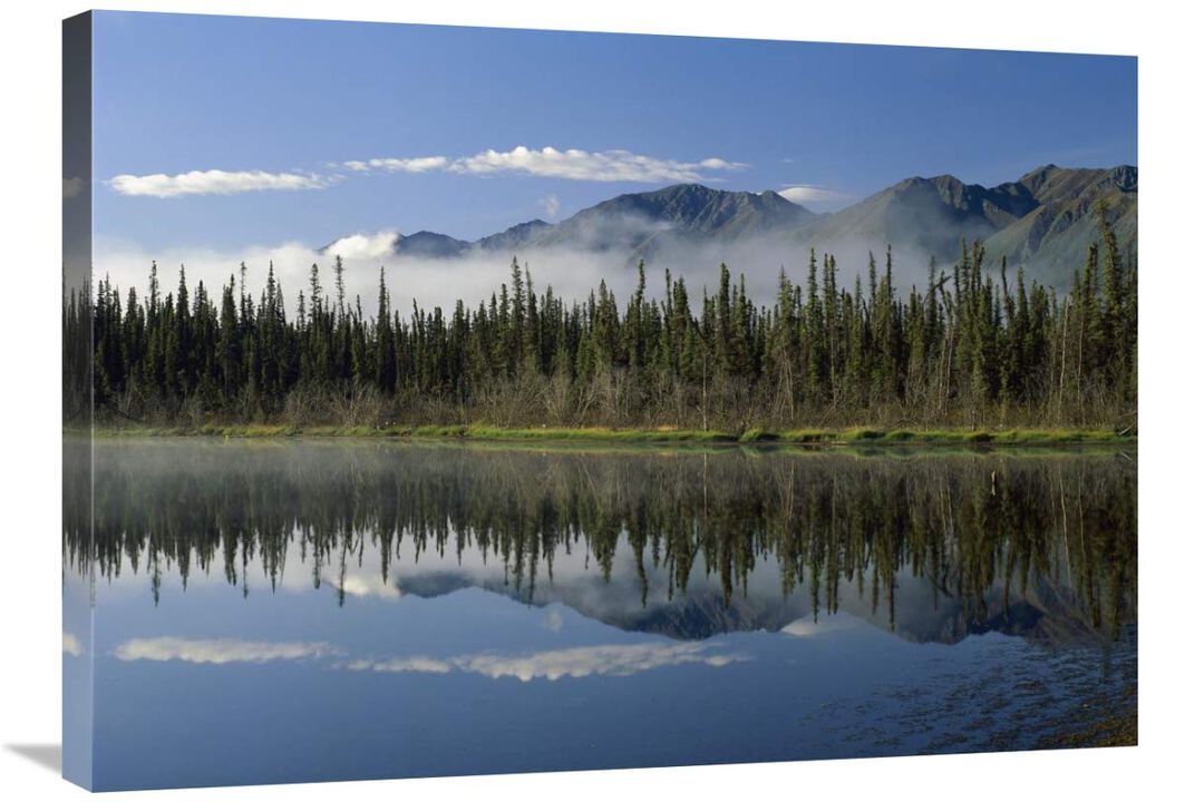 Boreal forest along lake edge, Nutzotin Mountains, Alaska-Canvas Art-32x24