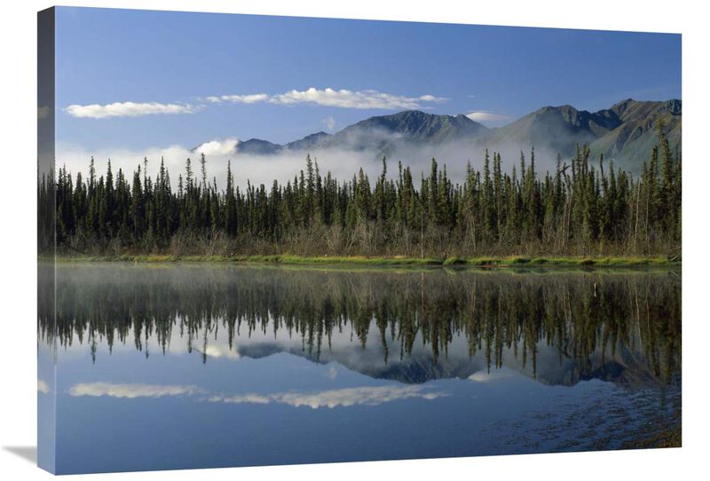 Boreal forest along lake edge, Nutzotin Mountains, Alaska-Canvas Art-32x24