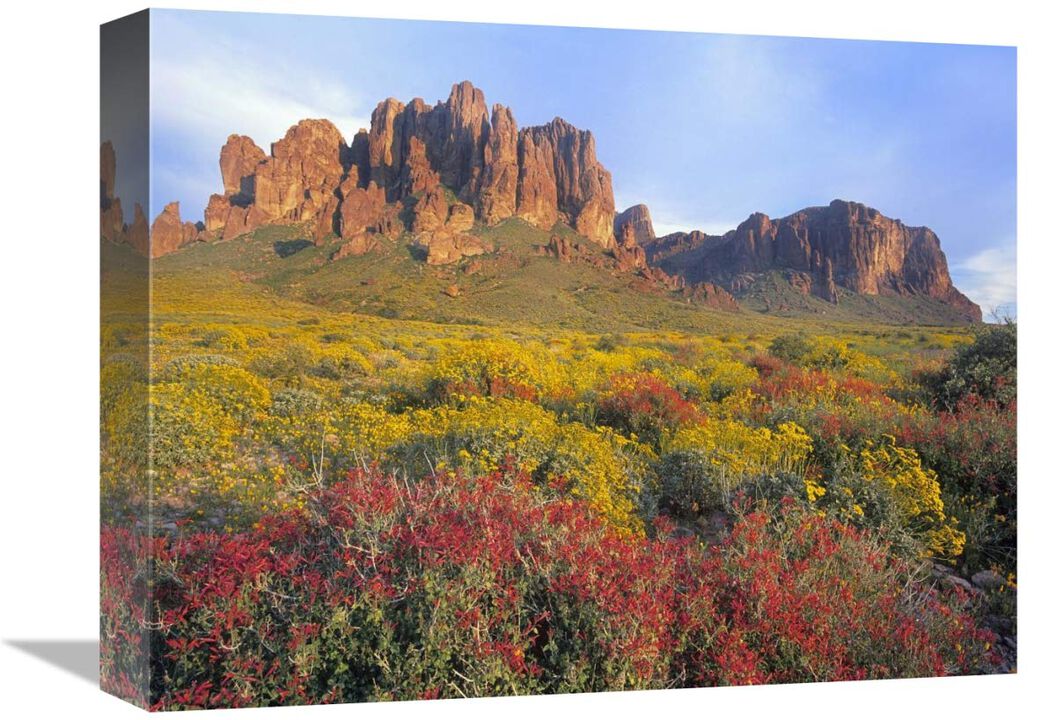 Chuparosa and Brittlebush Superstition Mountains, Arizona-Canvas Art-16x12